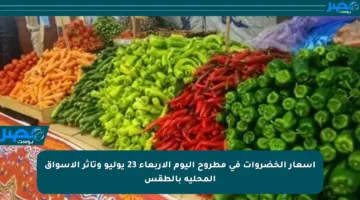 أسعار الخضروات في مطروح اليوم الأربعاء 23 يوليو وتأثر الأسواق المحلية بالطقس